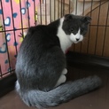 交渉中の為募集一時停止します。