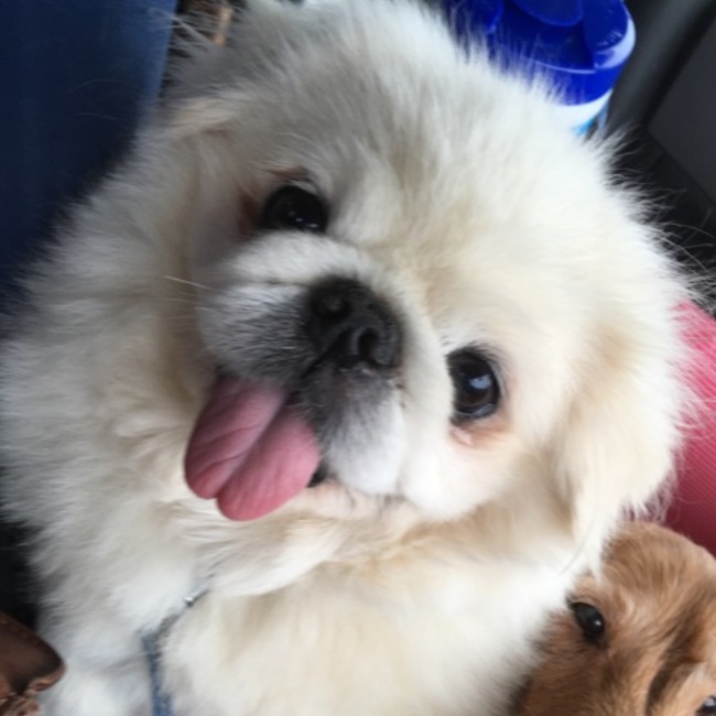 る〜のカバー写真