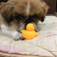 福