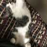 走り回って爆睡