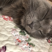 ルナ