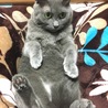 はまっちゃった