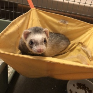 1歳9ヶ月の女の子です！