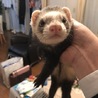 1歳9ヶ月の女の子です！ サムネイル2