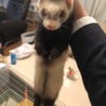 1歳9ヶ月の女の子です！ サムネイル3
