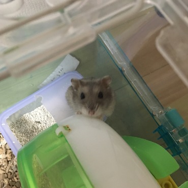 上目遣い