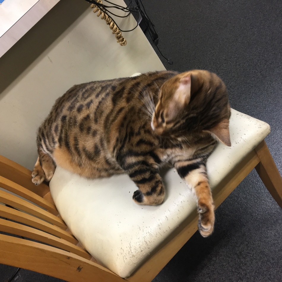 リーのカバー写真
