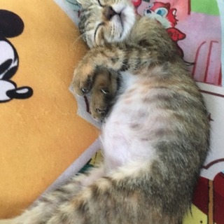 生後約半年の女の子