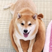 すう