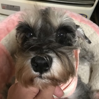 甘えたで、とても可愛い女の子♪