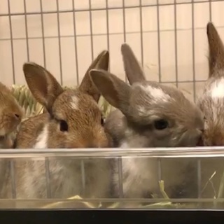 たくさんのご応募ありがとうございました。