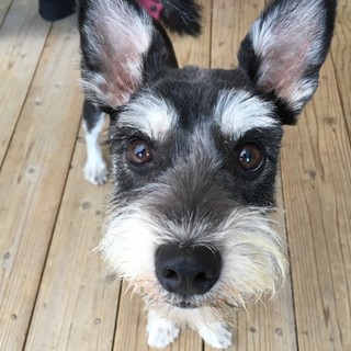 元気で超パワフルな男の子♪