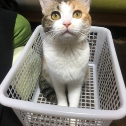 ココが好きなんです