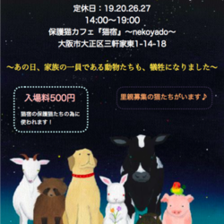 災害で消えた小さな命展