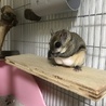 てっちゃん4649