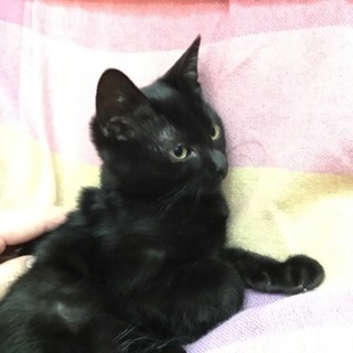 ありがとうございました♪