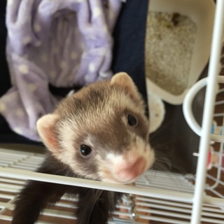 沢山のご応募ありがとうございました！