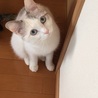 の写真