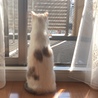 の写真
