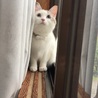 の写真