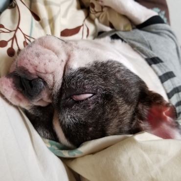 すごい白目を向いていますっ