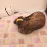 ありがとうございました！ サムネイル4