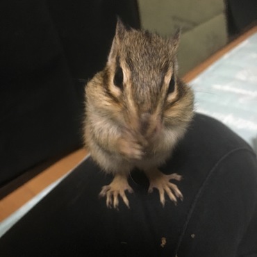 膝の上での食事。マリンちゃん