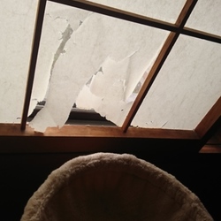 「雅(みやび)の遊び部屋リフォーム計画 その1」サムネイル2