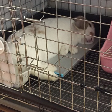 お昼寝中