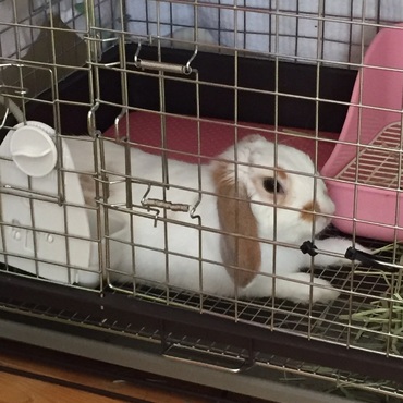 くつろぐー