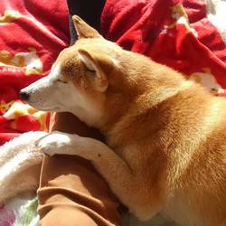 葵さん゜゜(´O｀)°゜足を痛めて。。⑥