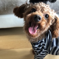 グッチ