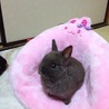 ナノサイズ さん