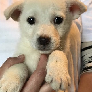 ♂473 里親募集です！