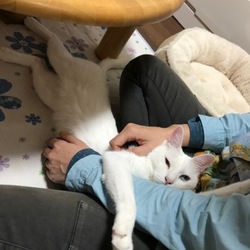 だいぶ慣れてきてくれて