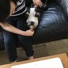 の写真