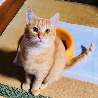 たけるくん 4.5～5ヵ月の男の子