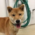 家族ができました！