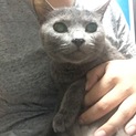 里親さん決まりました！