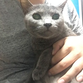 里親さん決まりました！