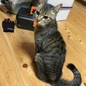 ☆優しいパートナー探してます☆