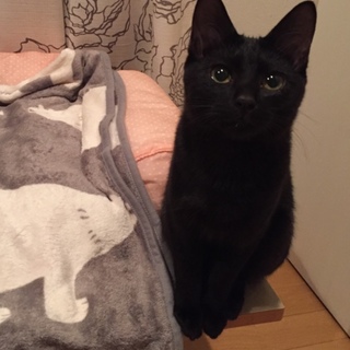 甘えん坊でちょっぴり天然キャラのクローブ君