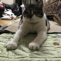 むむ