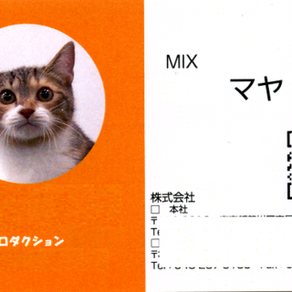 結婚しました！沢山のご応募ありがとうございました。