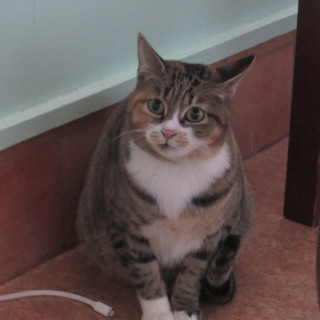 まだまだ未知な不思議系地下アイドル！