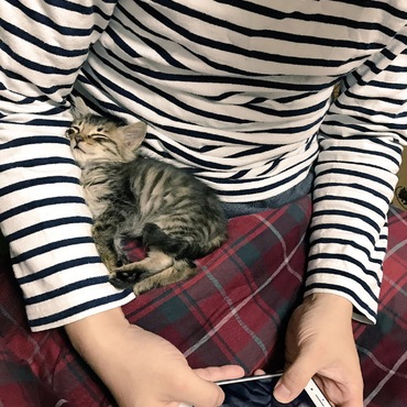 夫となかよし