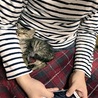 夫となかよし
