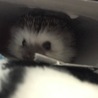 ちゃんくぼ