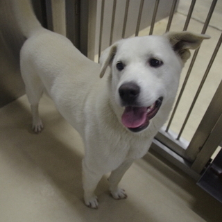 素敵なご縁がありました！