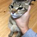 優しい家族を探してます♡